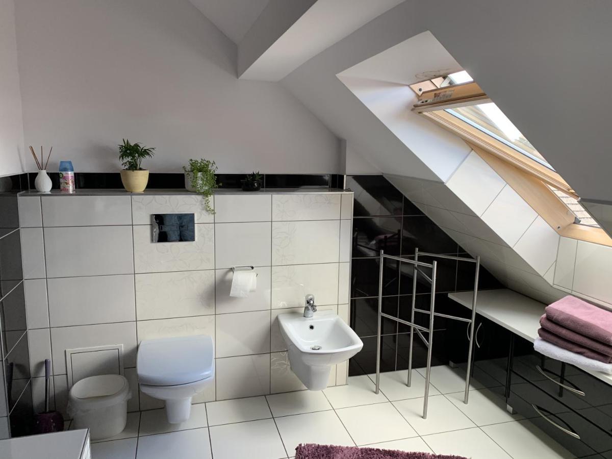 צ'ארני דונאייץ Apartament Podczerwone מראה חיצוני תמונה