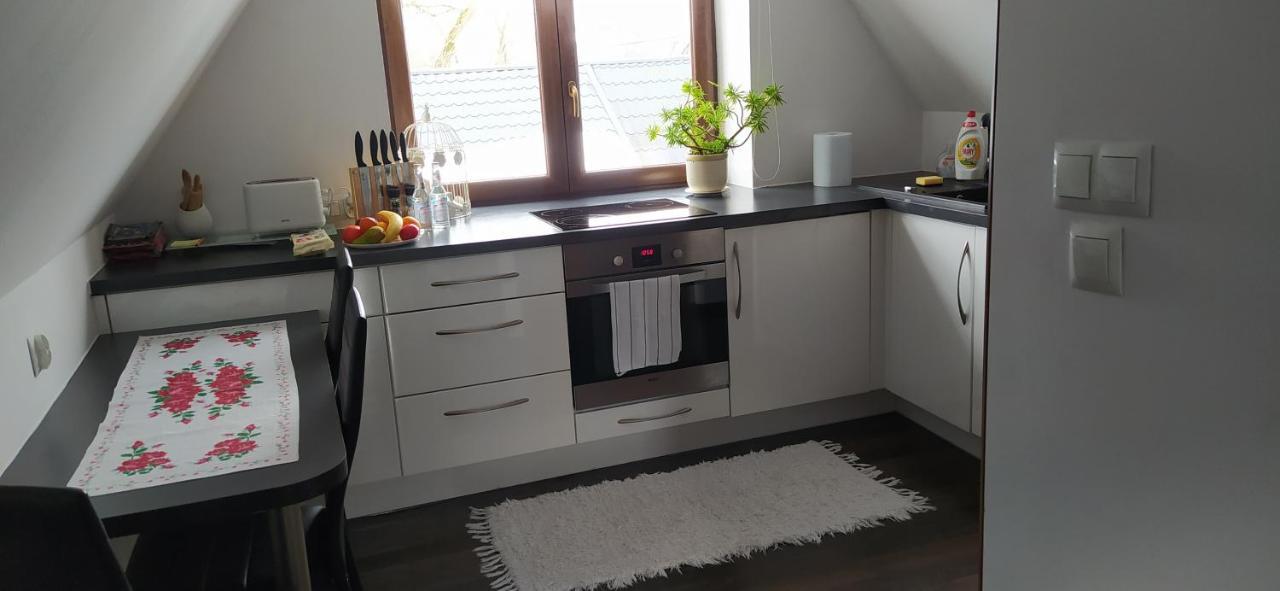 צ'ארני דונאייץ Apartament Podczerwone מראה חיצוני תמונה